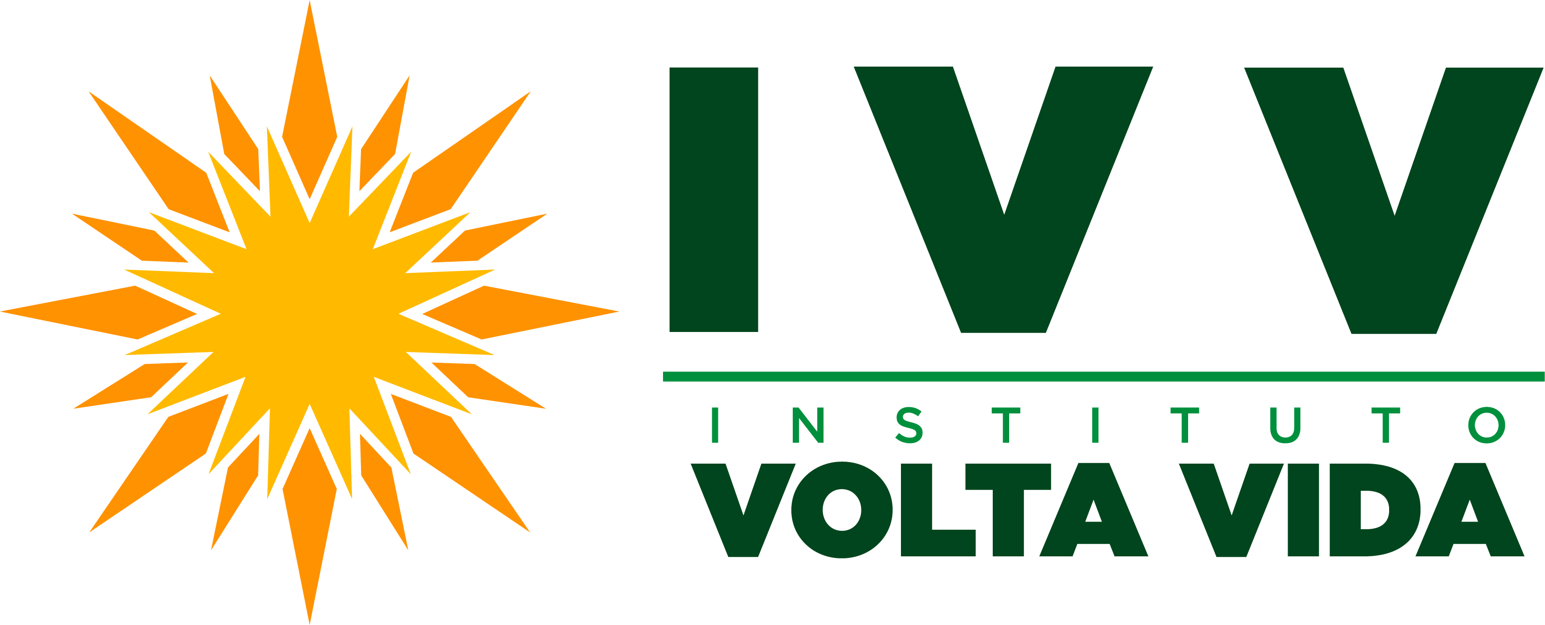 logo ivv